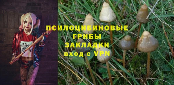 apvp Алексеевка